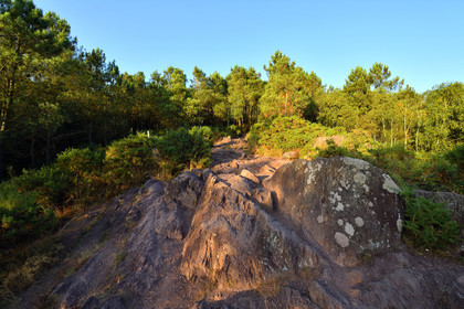 France, Brocéliande