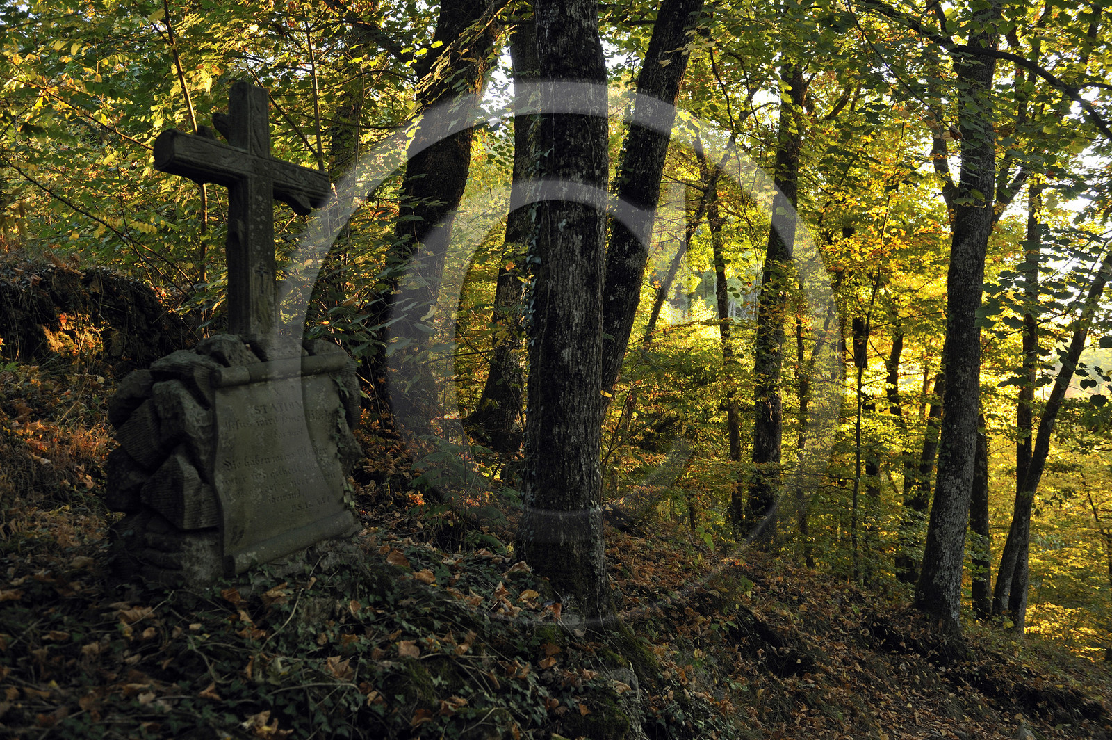 France, Murbach