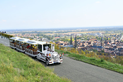 France, Obernai