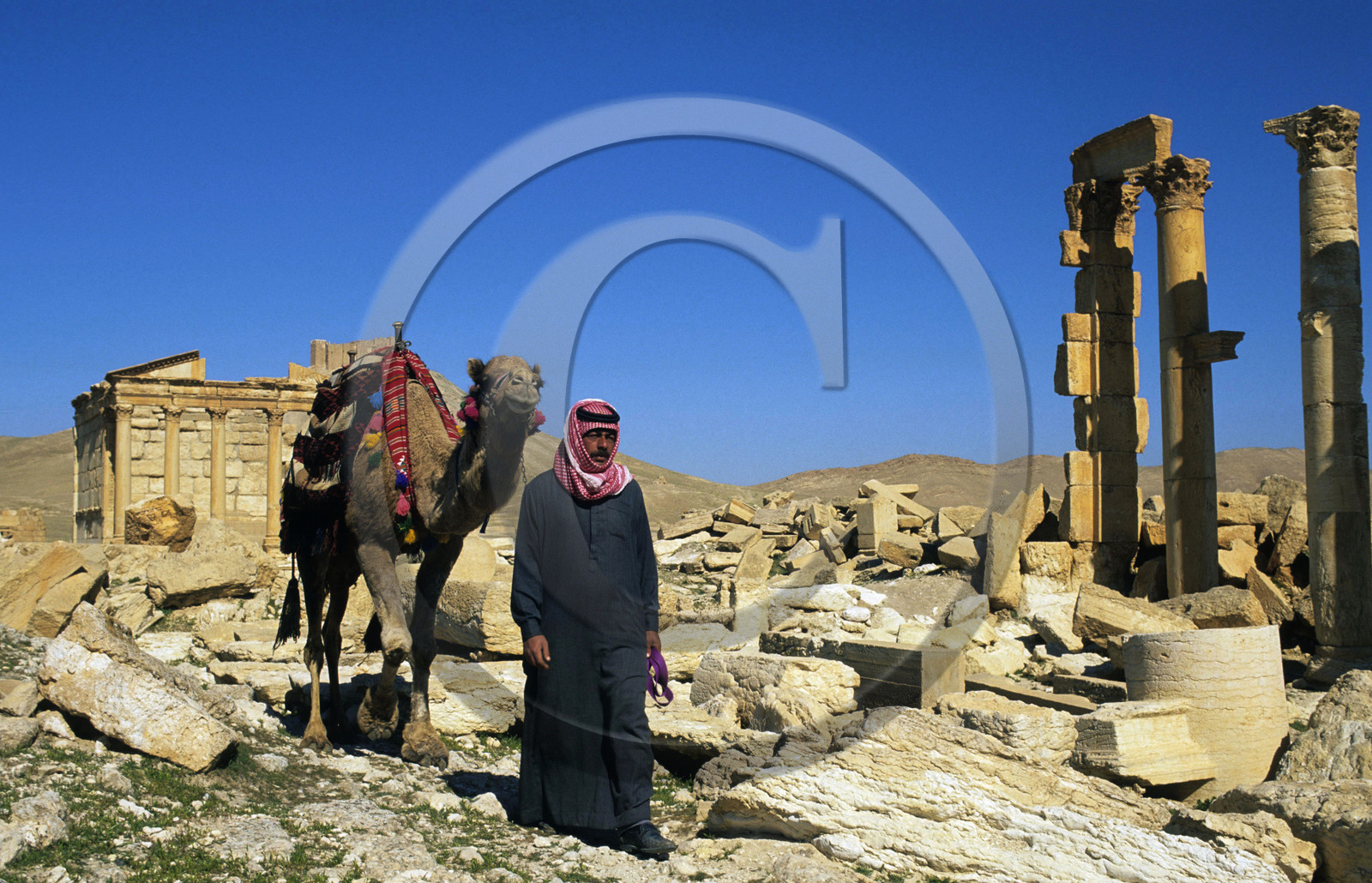 Palmyre, Syrie