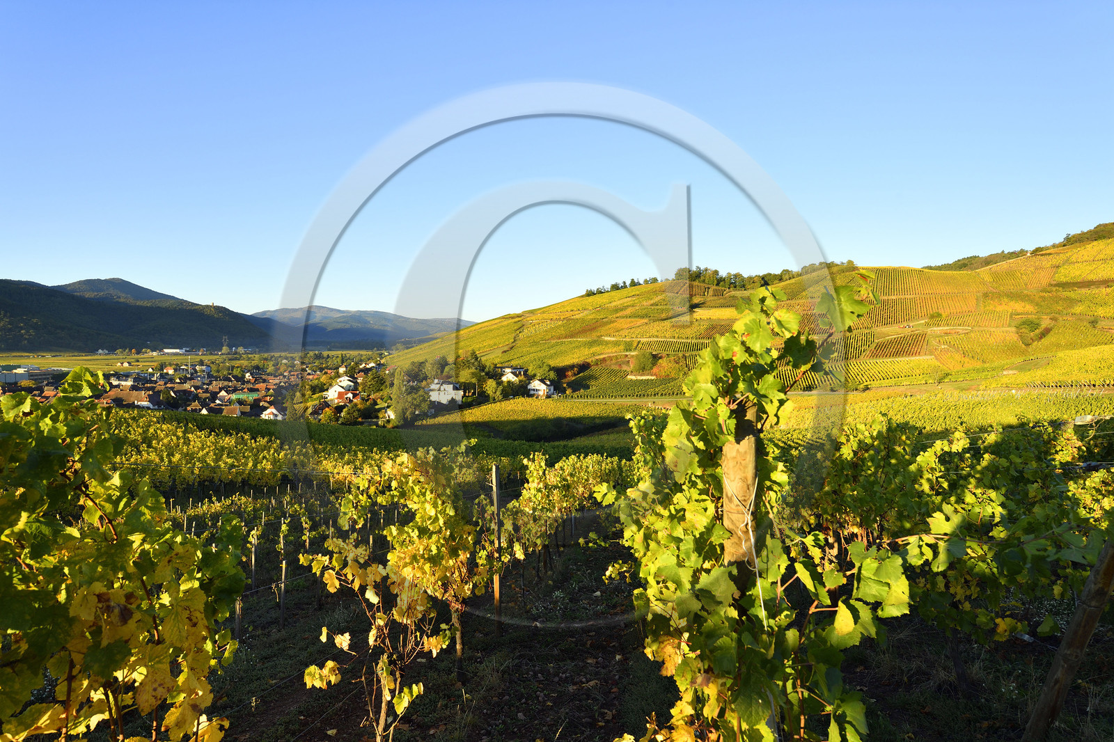 France, Turckheim