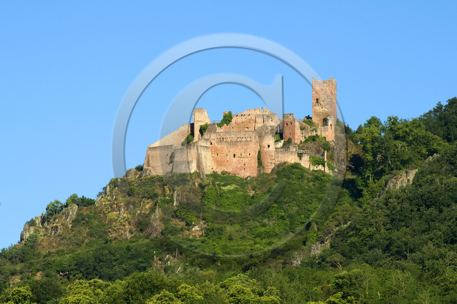 France, Ribeauville
