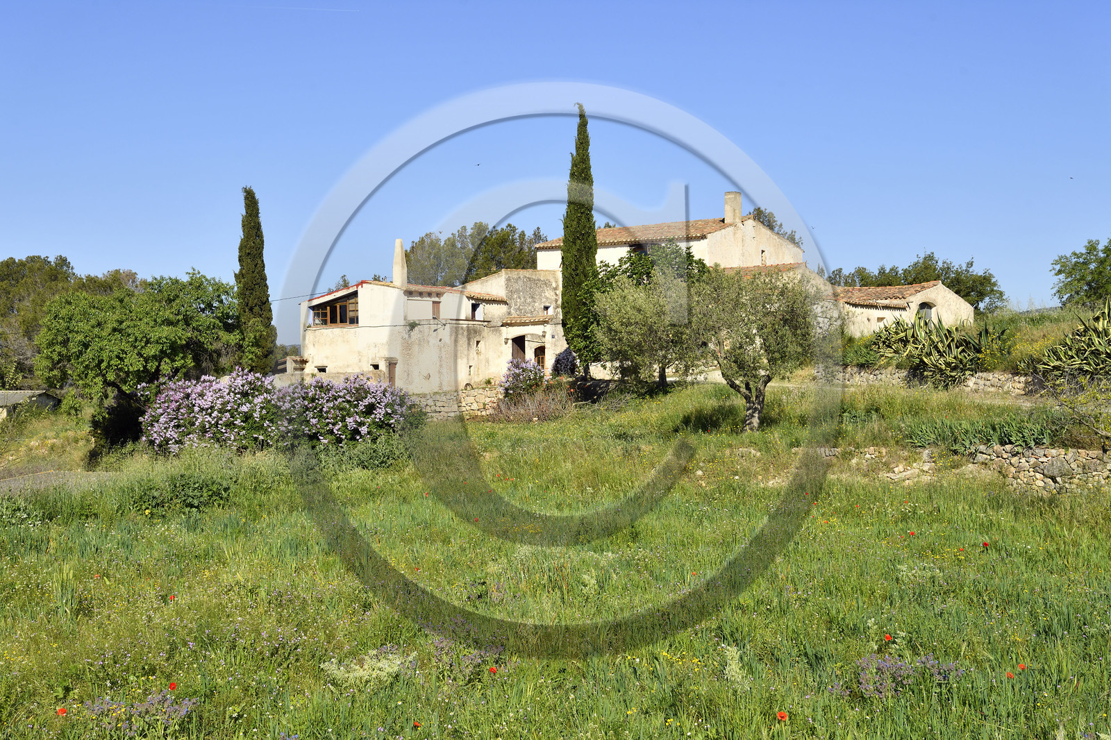 Espagne, Santes Creus