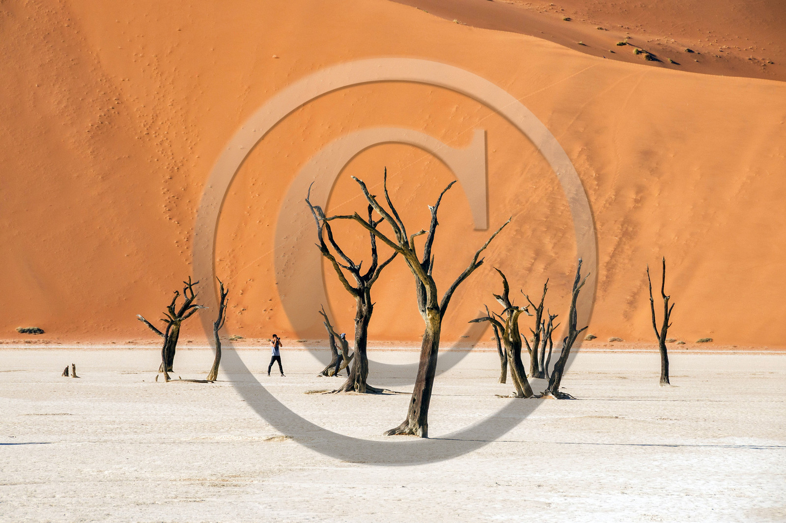 Namibie, Sossusvlei