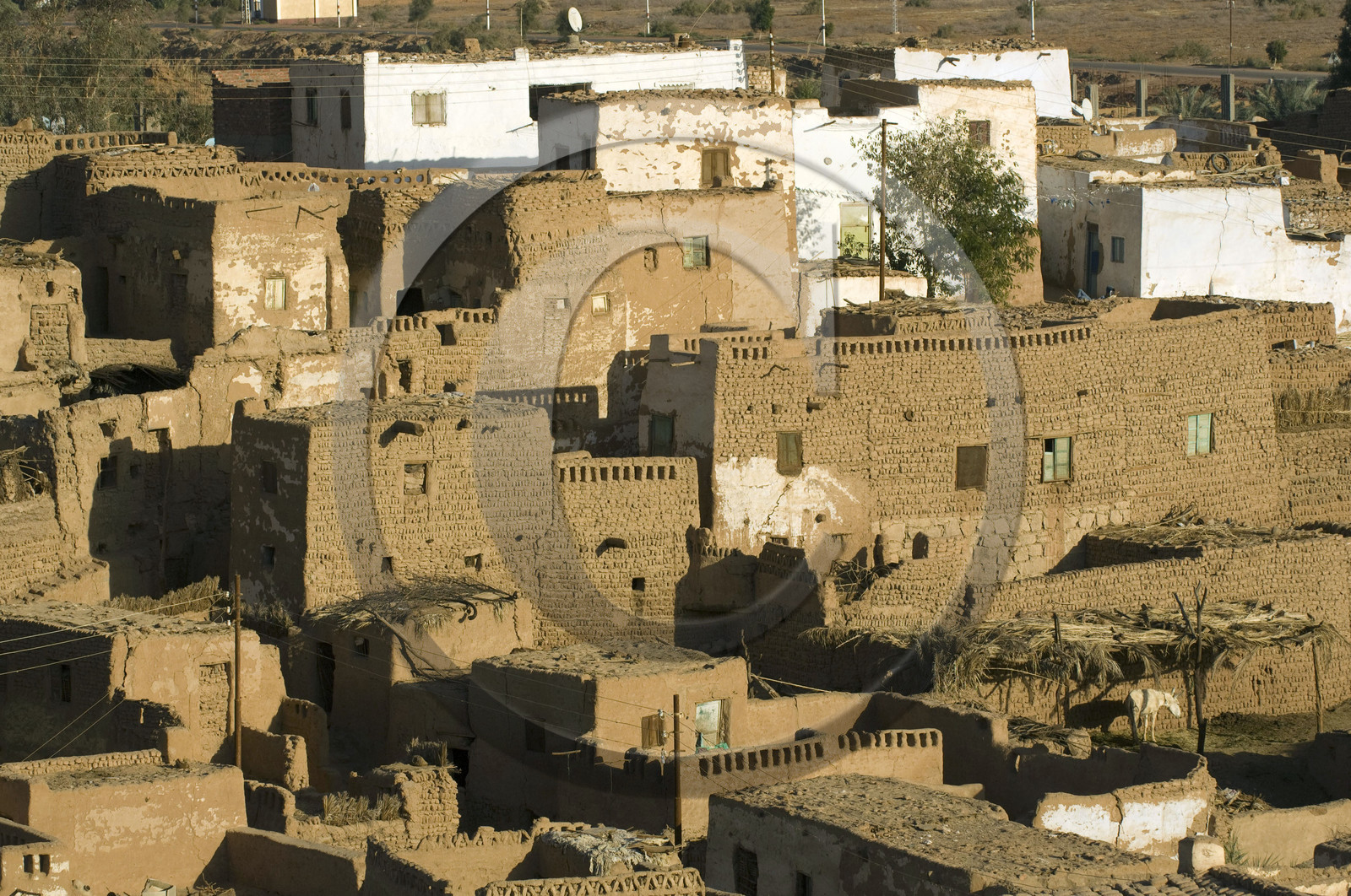 Egypte, Dakhla