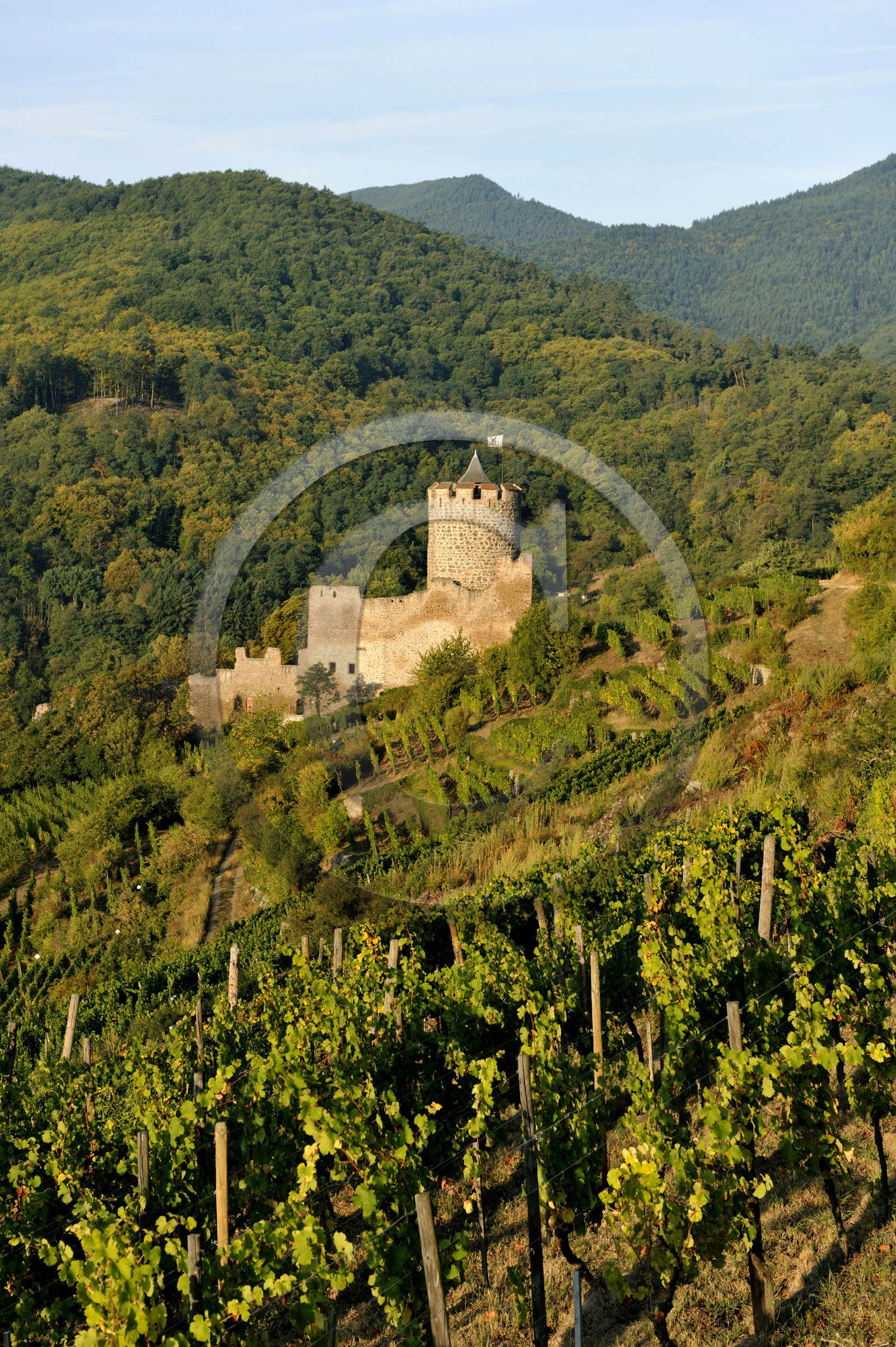 France, Kaysersberg