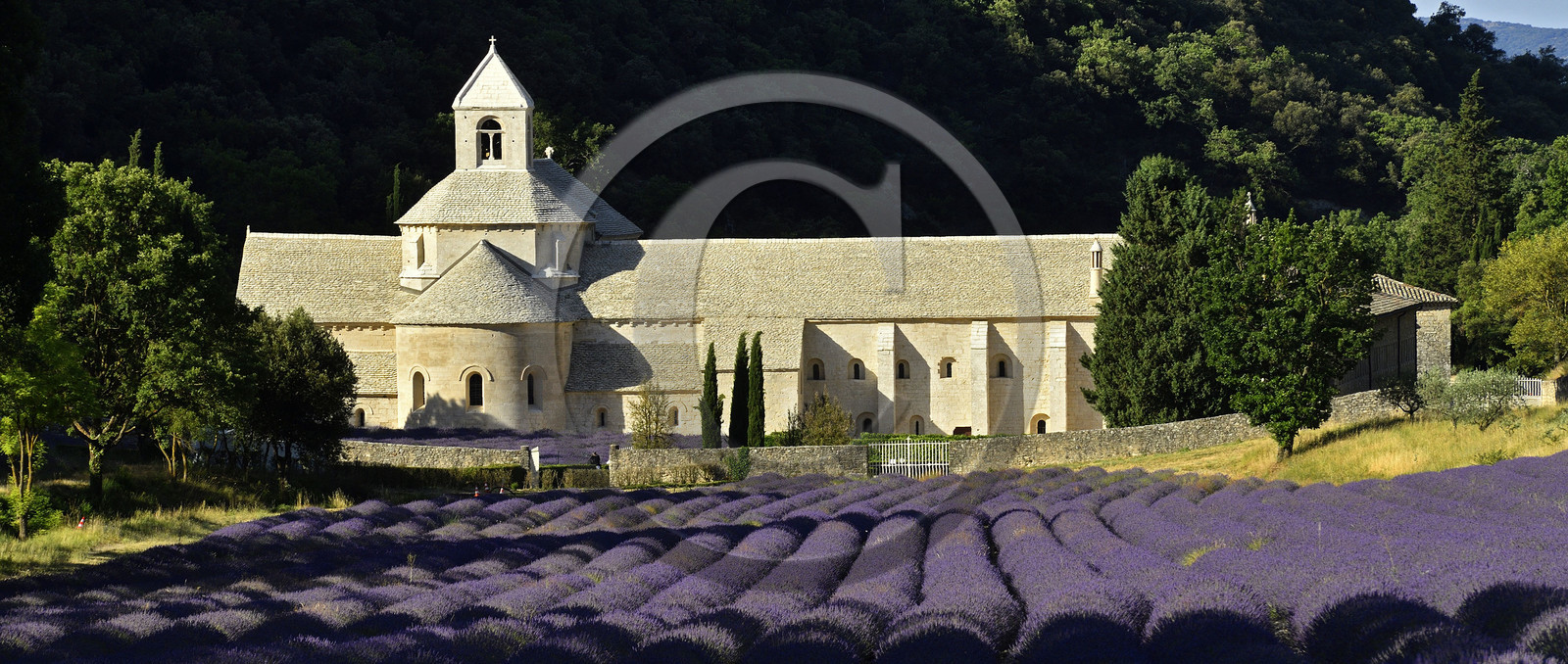 France, Senanque