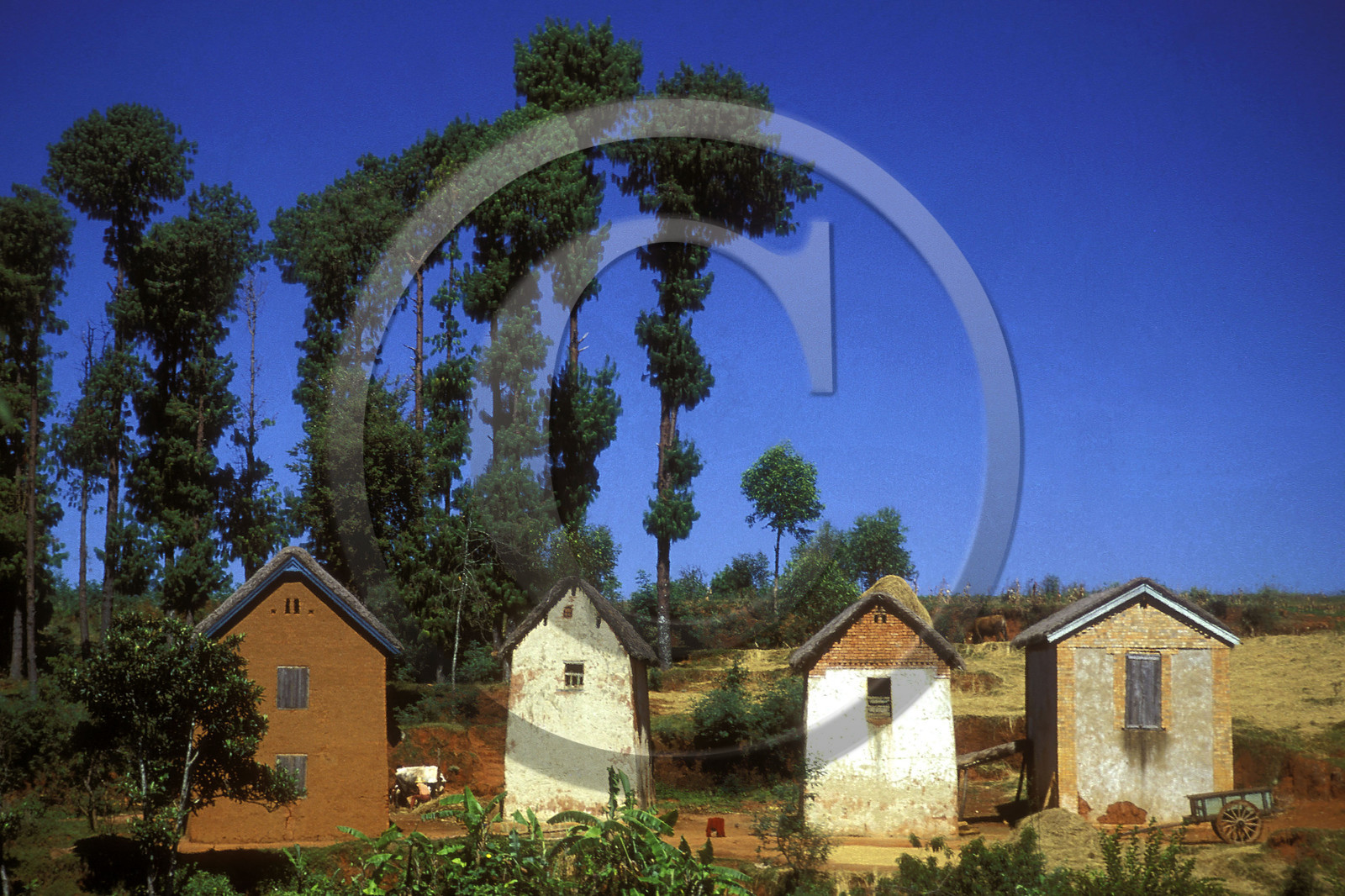 Madagascar