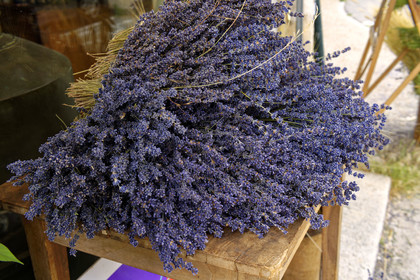 France, Mont Ventoux