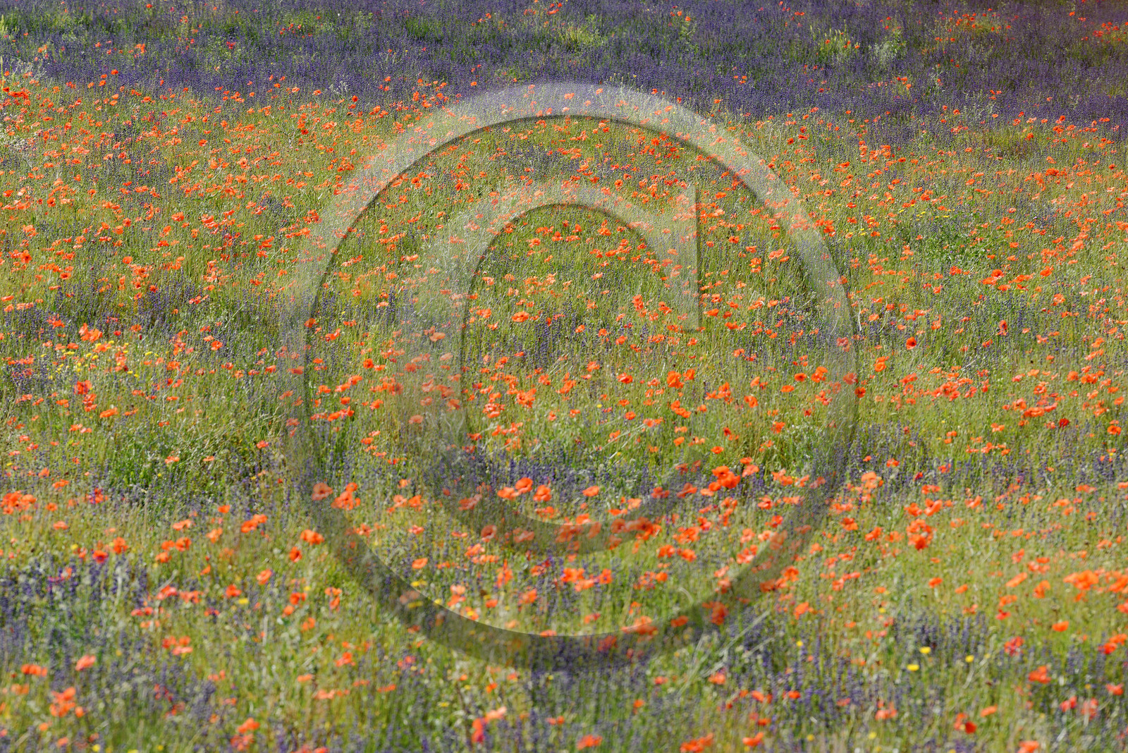 France, Mont Ventoux