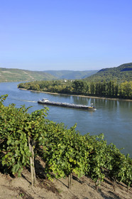 Allemagne, Rhin
