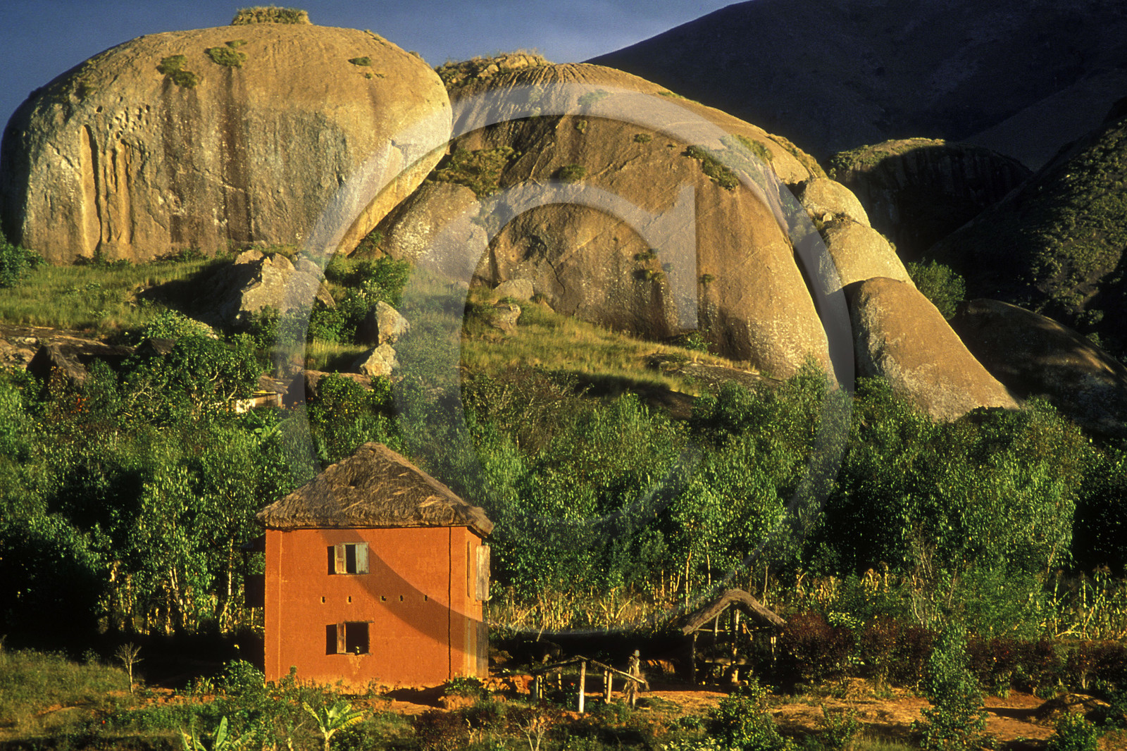Madagascar