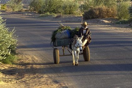 Egypte, Dakhla