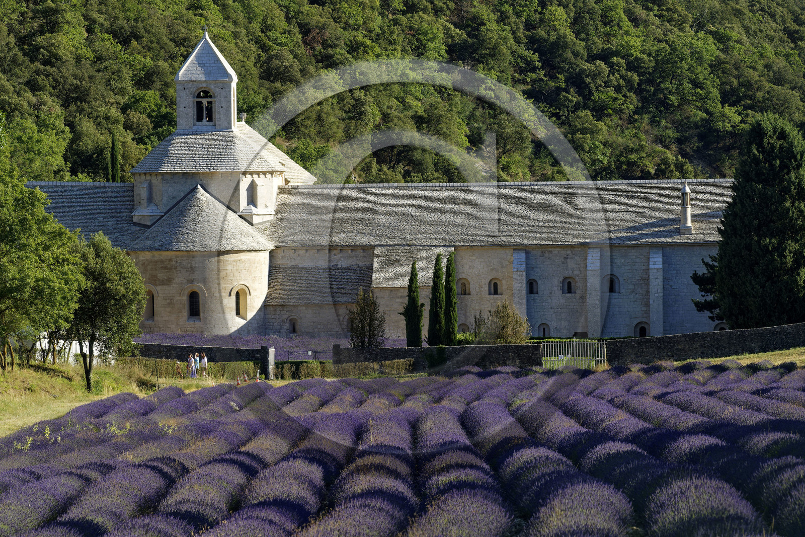France, Senanque