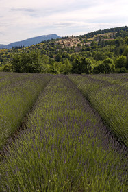 France, Mont Ventoux