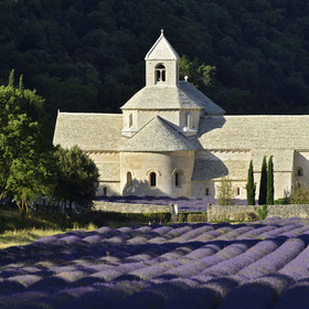 France, Senanque