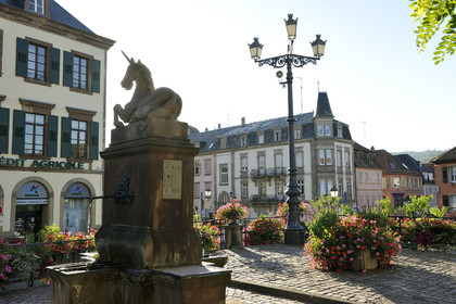 France, Saverne