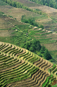 Chine, Longsheng