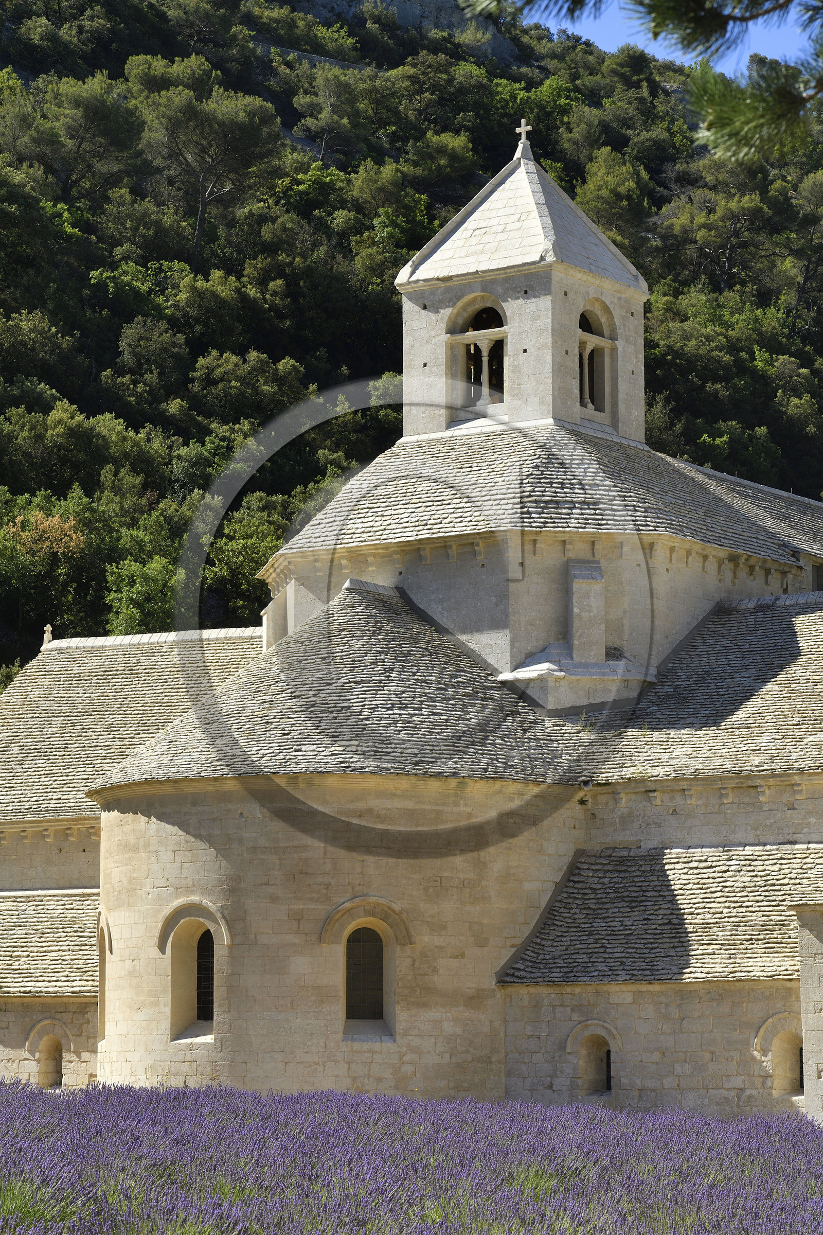 France, Senanque