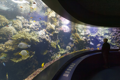 France, Oceanopolis