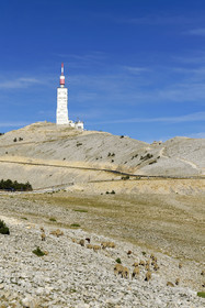 France, Ventoux