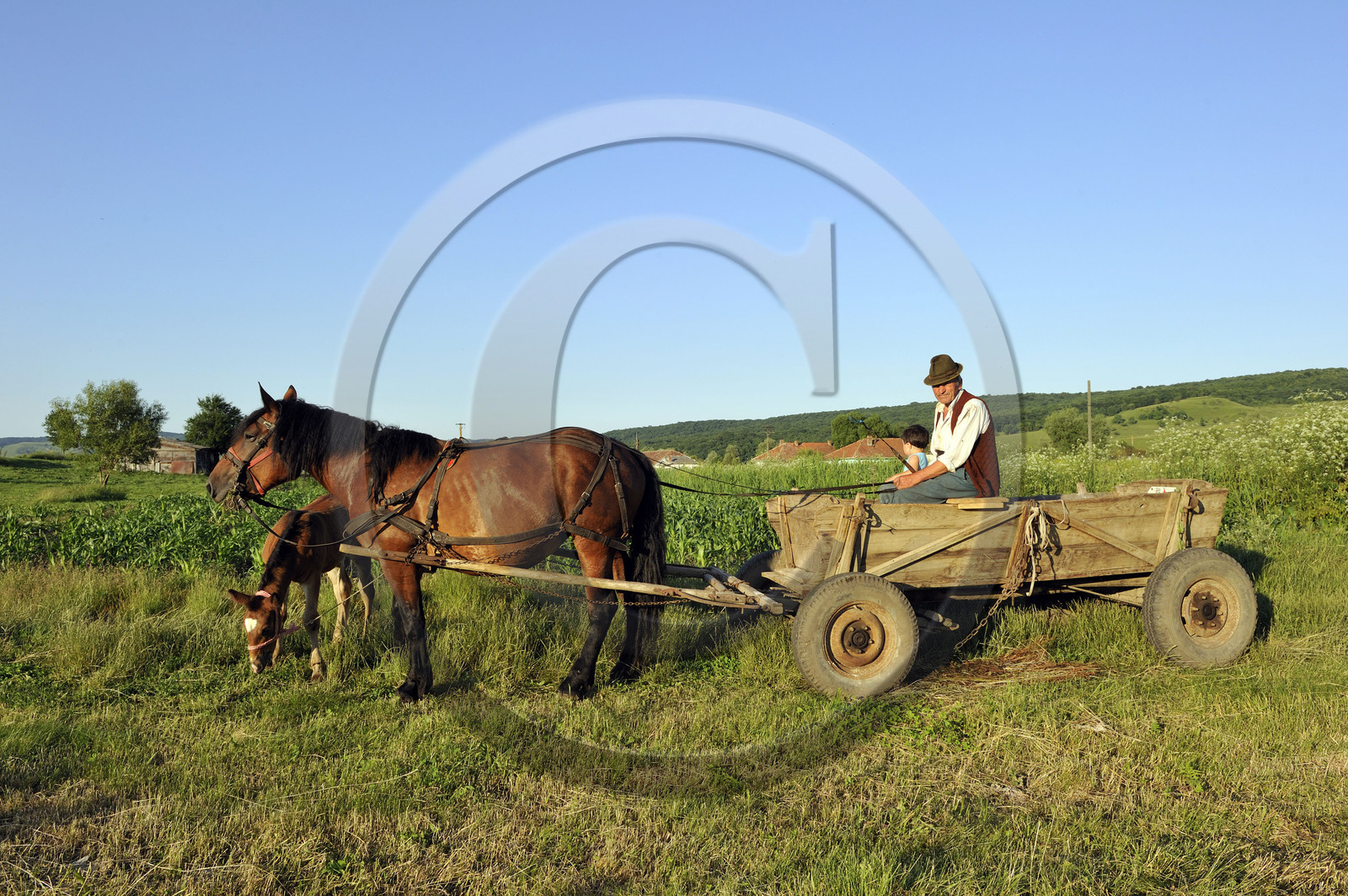 Roumanie, Transylvanie