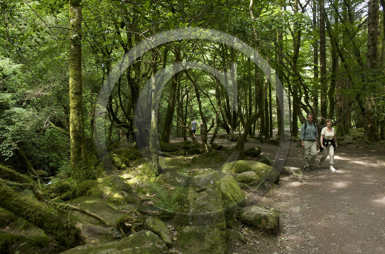Irlande, Killarney