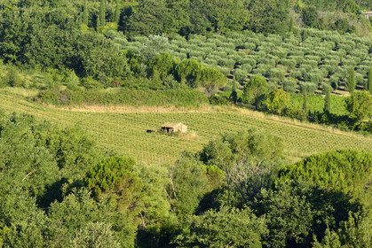 France, Roussillon