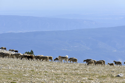 France, Ventoux