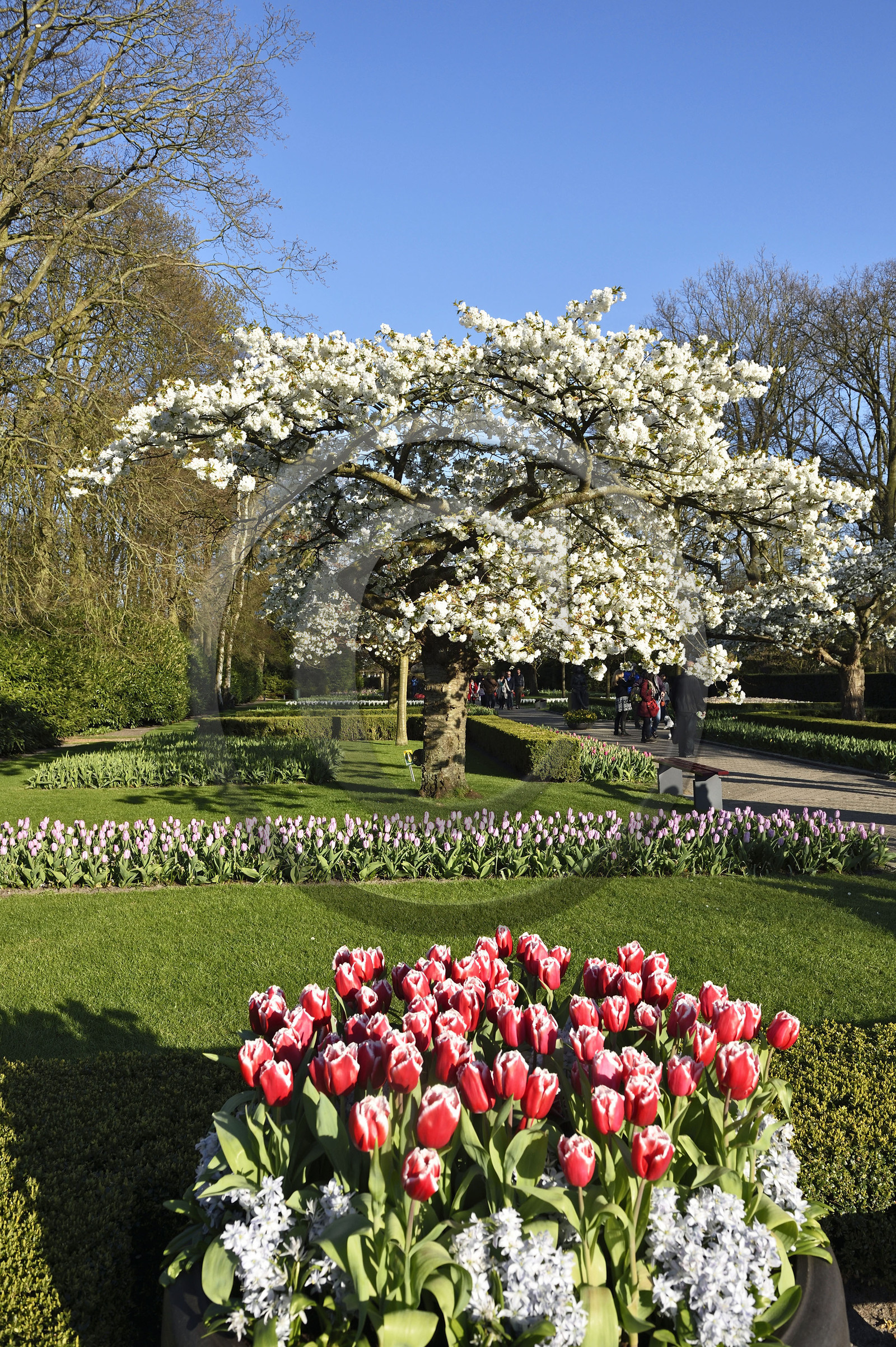 Hollande, Keukenhof