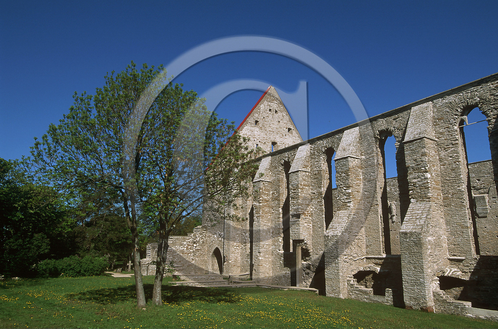 Estonie, Pays Baltes