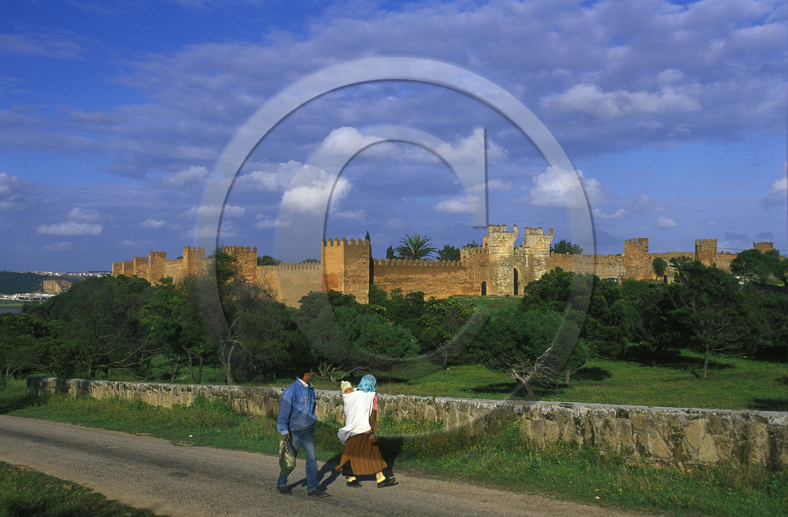 MAROC   RABAT.FORT DE CHELLAH