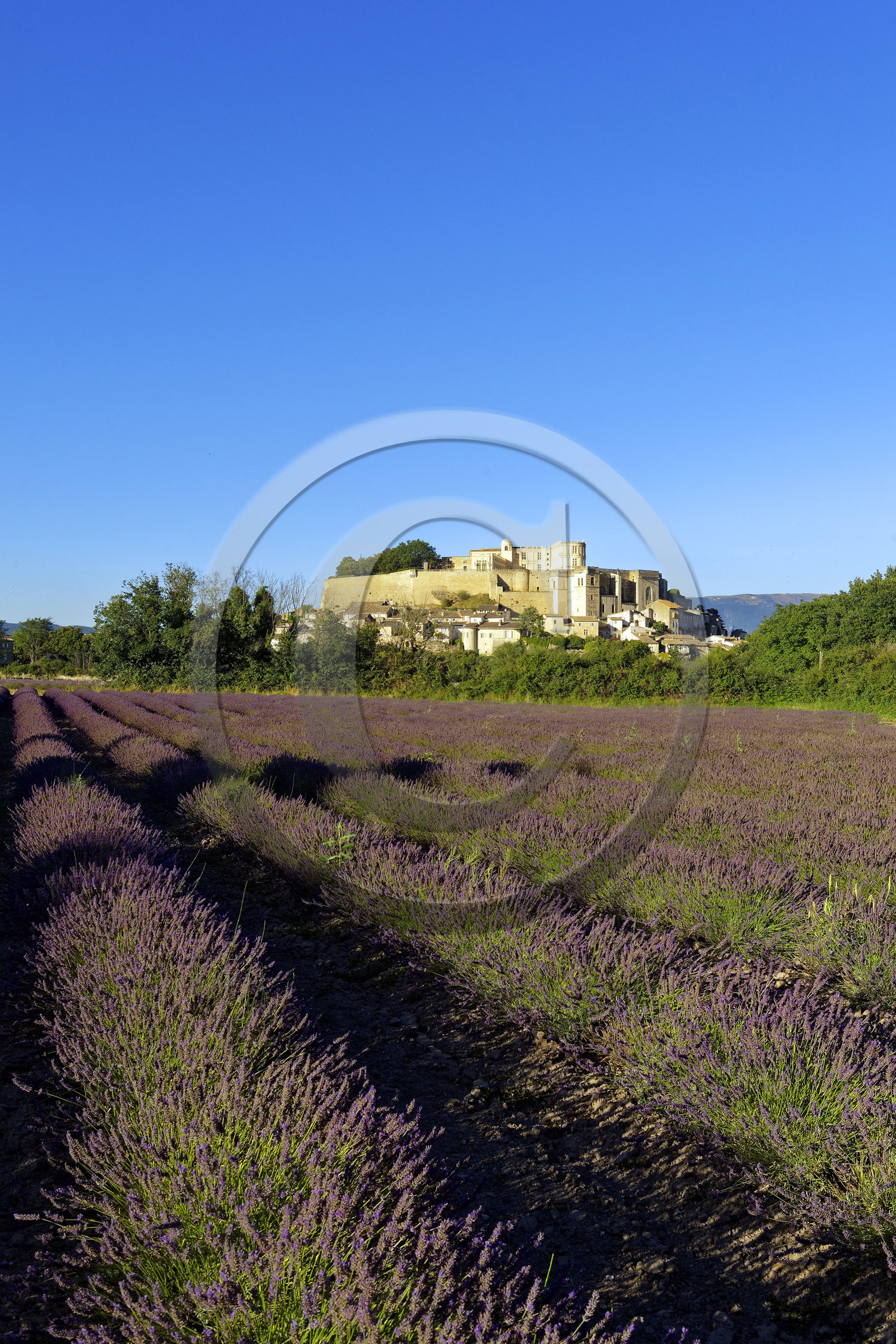France, Grignan