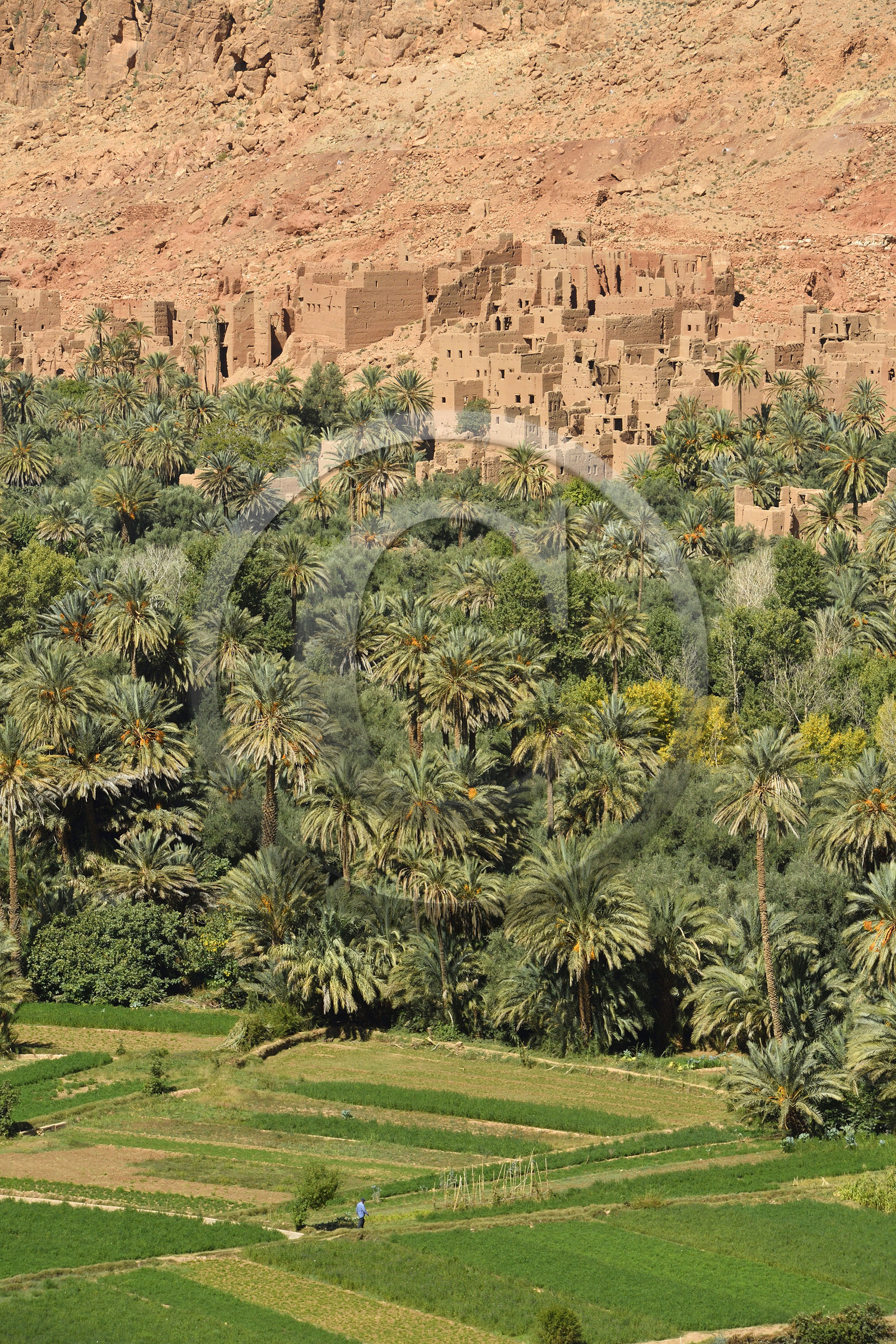 Maroc, Tineghir