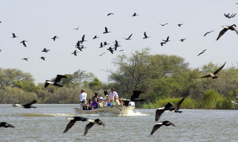 Djoudj, Sénégal
