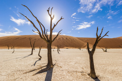 Namibie, Sossusvlei