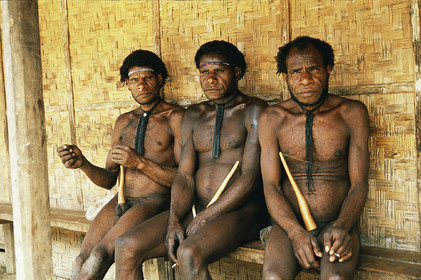 Indonésie, Irian Jaya