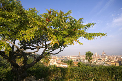 Firenze, Italia