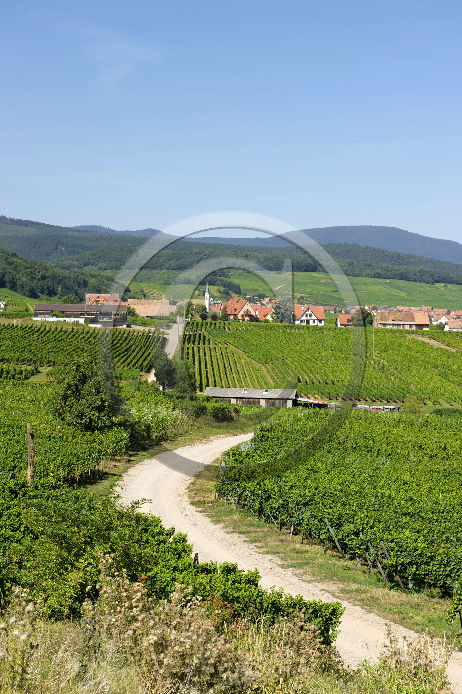 France, Alsace