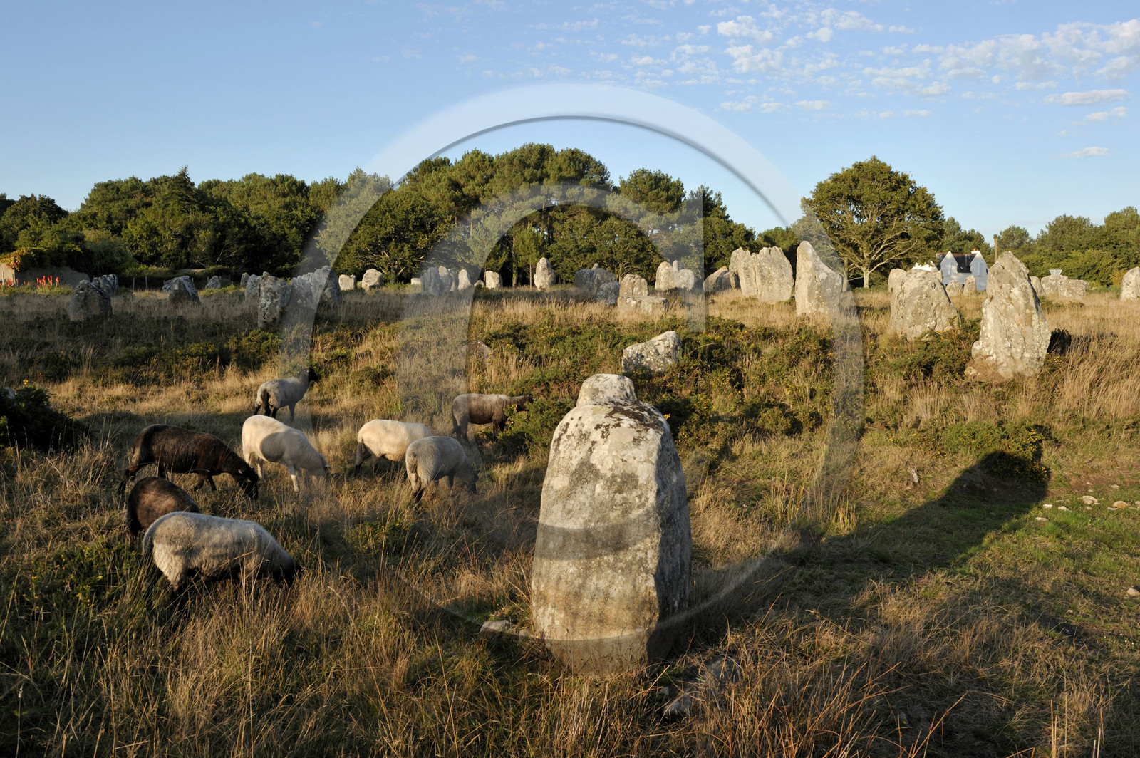 France, Carnac