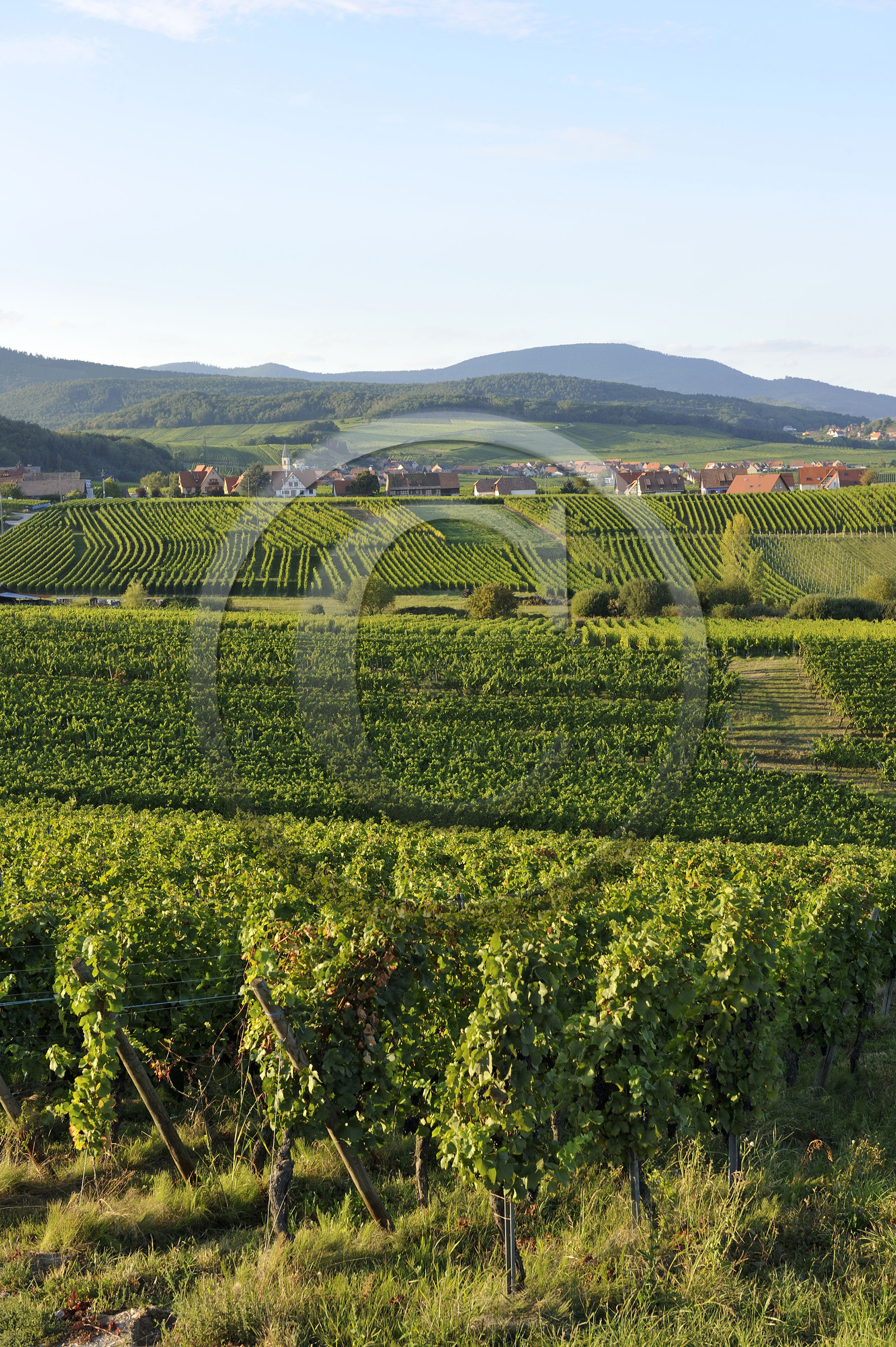 France, Alsace