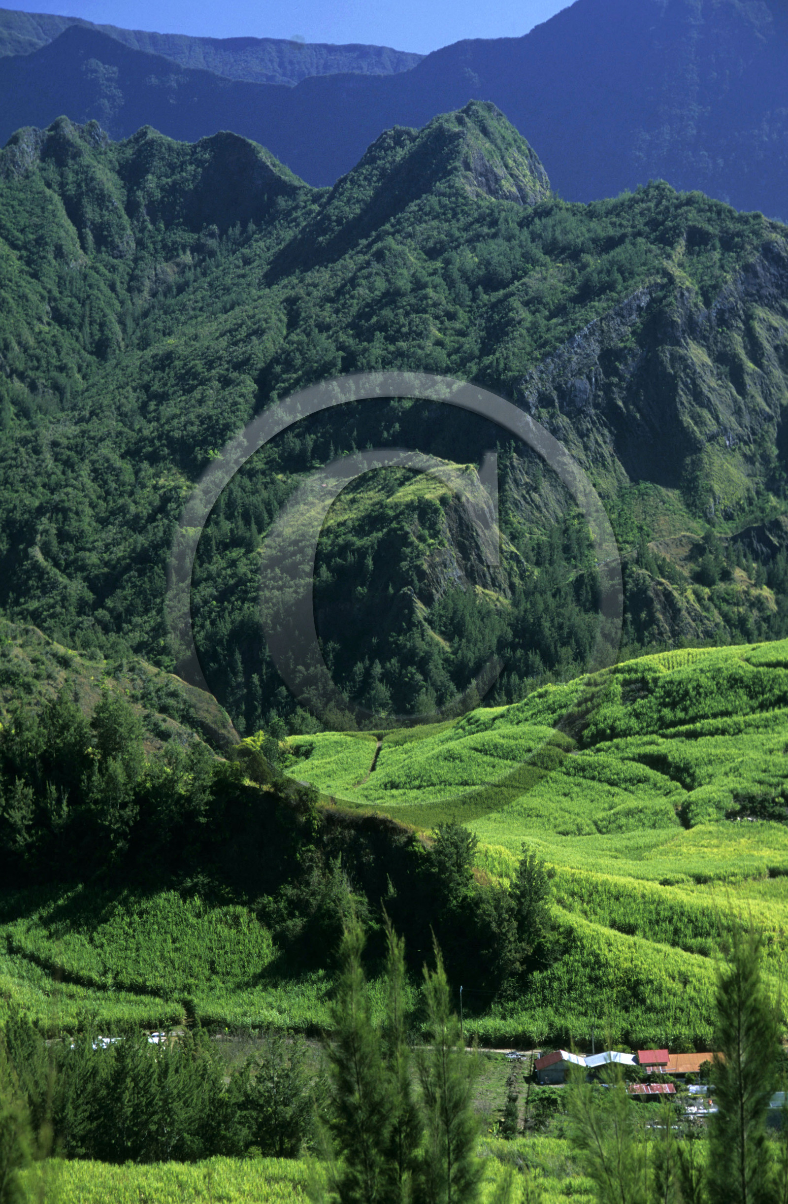 Ile de la Réunion.France