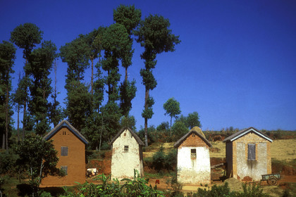Madagascar