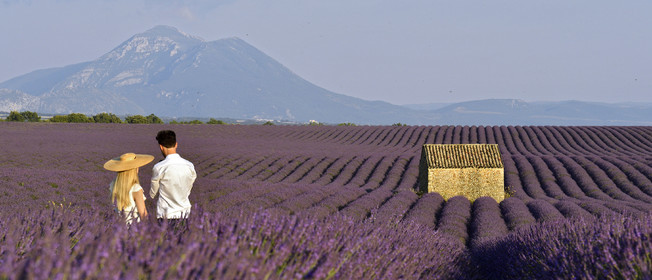 France, Valensole