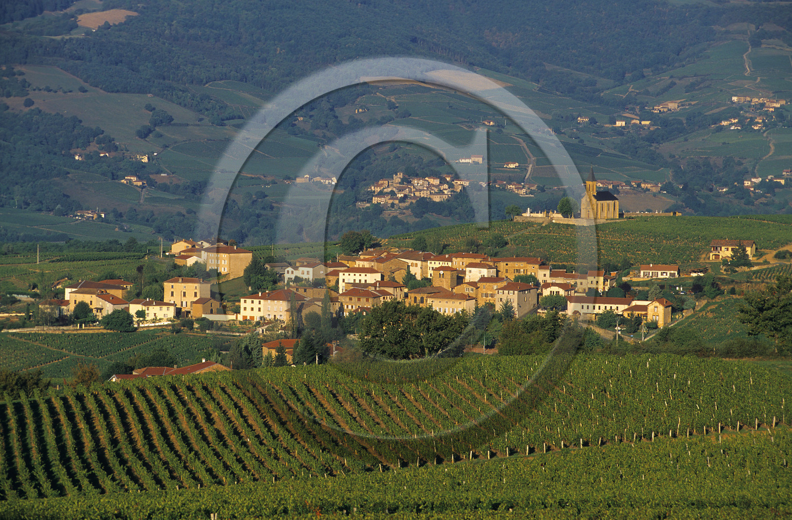 Le Beaujolais, France