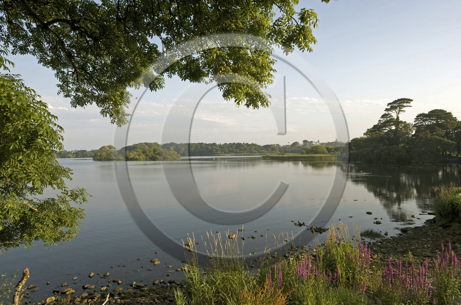 Irlande, Killarney