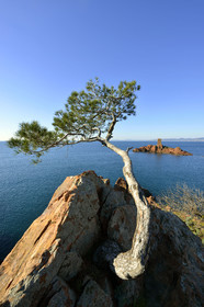 France, Dramont