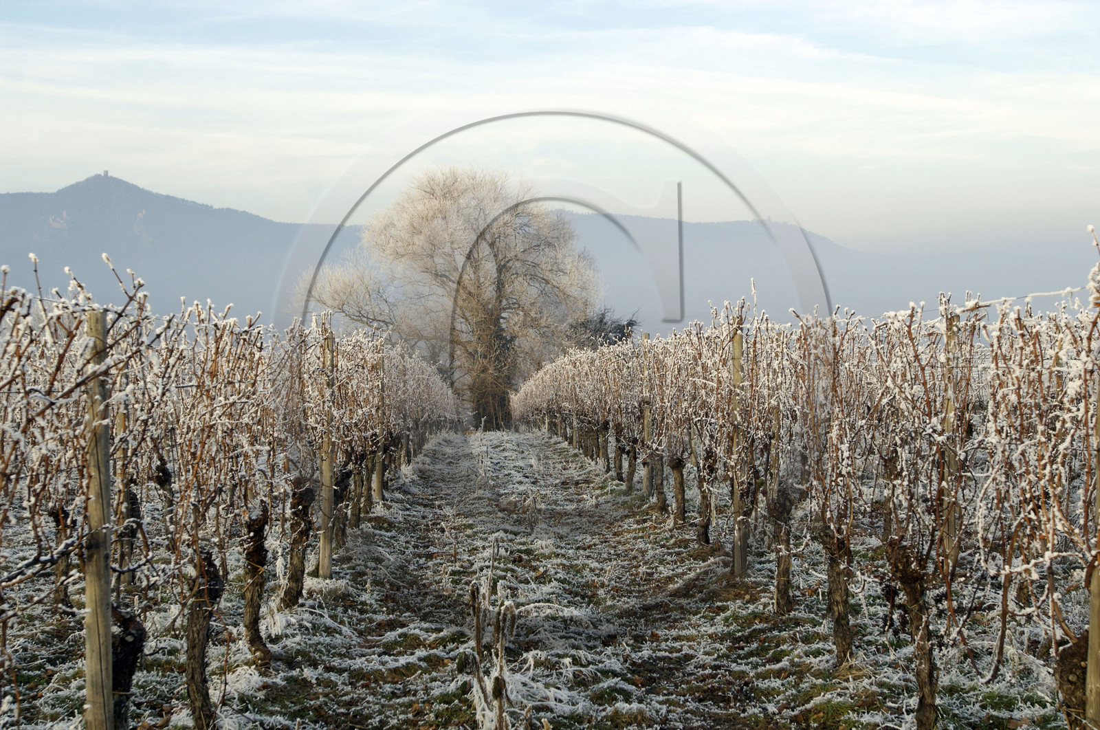 France, Alsace
