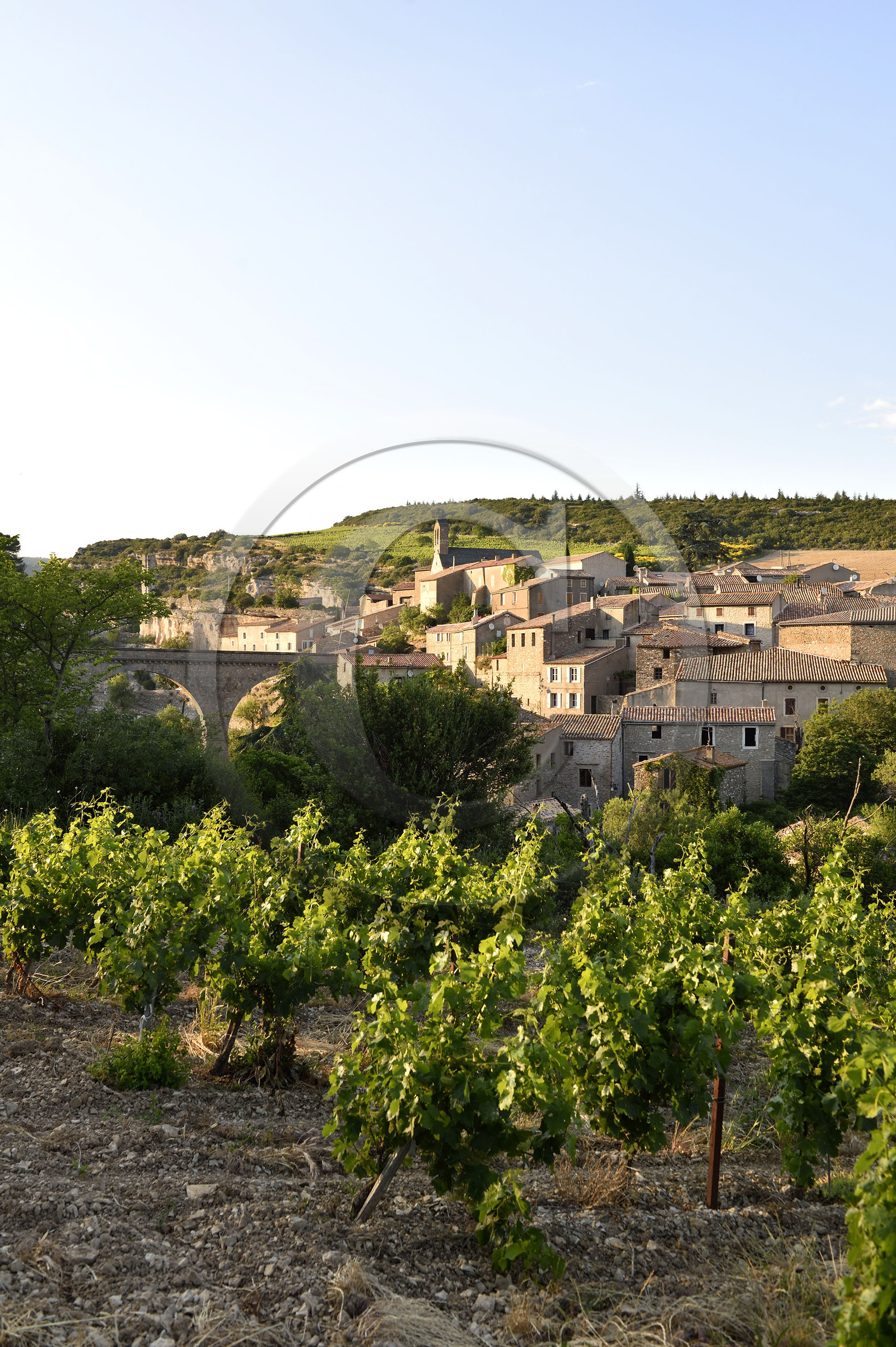 France, Minerve