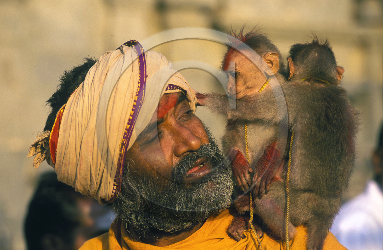 Inde du Sud